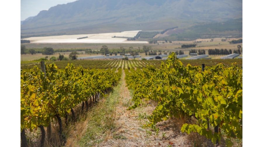 Commercial Property for Sale in Wolseley Western Cape